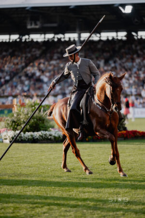 CHIO Aachen Eröffnungsfeier, CHIO , Welffest des Pferdesports